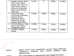 Pertamina Tidak Becus, LPG Subsidi 3 kg Mahal dan Langka Berlangsung Sejak Awal Diluncurkan Pemakaiannya