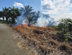 BPBD MERANGIN, POLRES MERANGIN DAN KODIM 04/20 SARKO  LAHAN PERKEBUNAN WARGA LUDES TERBAKAR TIDAK ADA RESPON