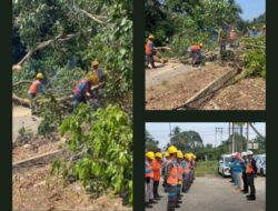 PLN ULP Bangko Mengadakan Goes’r Untuk Mengurangi Gangguan Wilayah Tabir Barat dan Tabir Ulu