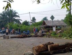 Massa Dari Beberapa Dusun BlokirJalan Dengan Batang Kayu BesarSebagai Bentuk Protes Terhadap Maraknya PETI Di Ulu Sungai