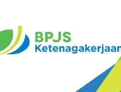 PT. SGN Per Oktober 2024 Yang Terdaftar BPJS Ketenagakerjaan Sebanyak 100 Orang 