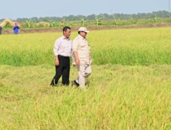 Presiden Prabowo Subianto Tinjau Program Pertanian Berkelanjutan di Merauke Untuk Dorong Produktivitas Pangan Di Papua