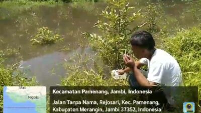 Dugaan Perusahaan Kelapa Sawit PT KMB Di Desa Rejosari Kecamatan Pamenang Kabupaten Merangin Jambi Melakukan Pembuangan Limbah Ke Anak Sungai Pelakar